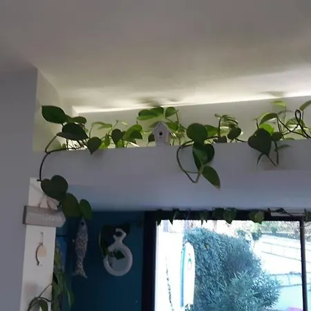 Maison Paisible Proche Plage, Moderne, Jardin Et Parking Prive - Fr-1-323-482