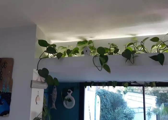 Maison Paisible Proche Plage, Moderne, Jardin Et Parking Prive - Fr-1-323-482